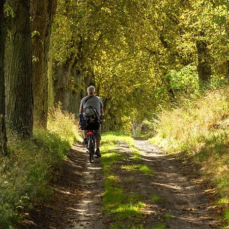 Wildgans - Stilvolles Mit Terrasse, Seeblick & Naturidylle Am Loppiner * Jabel